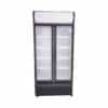 Visicooler Maigas 600 litros para restaurantes – frontal iluminado - horecastore